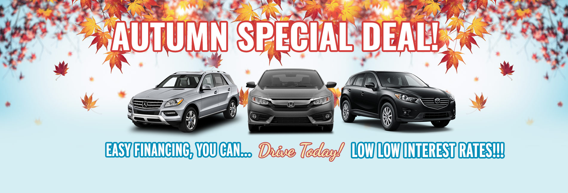 Autumn Special Deal!